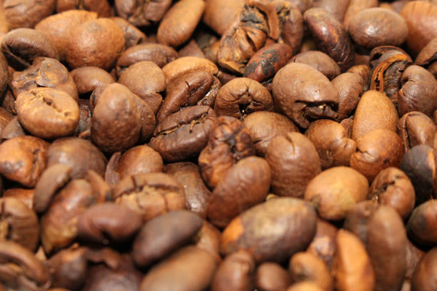 istock Indonesian roasted coffee beans, your source for a cup of coffee 1089238974