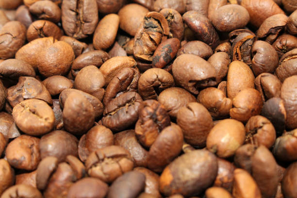 istock Indonesian roasted coffee beans, your source for a cup of coffee 1089239024