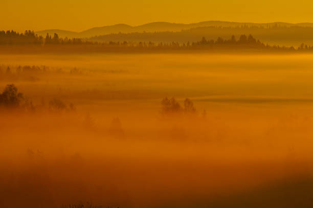 istock Sunrise in the forest. Bieszczady Mountains. Poland 1089240776