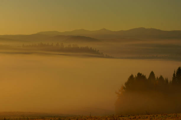 istock Sunrise in the forest. Bieszczady Mountains. Poland 1089240780