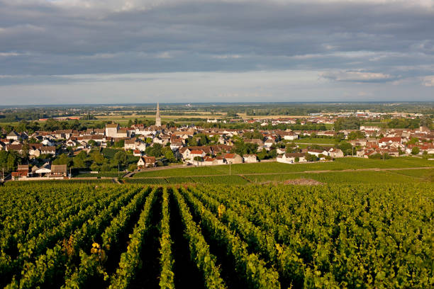 el pueblo de meursault, la gran ruta del vino borgoña, costa de oro - francia - cote dor fotografías e imágenes de stock