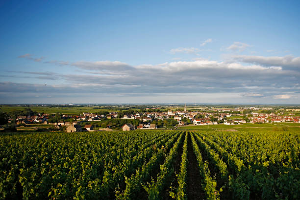 el pueblo de meursault, la gran ruta del vino borgoña, costa de oro - francia - cote dor fotografías e imágenes de stock