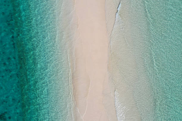 istock Amazing bird eyes view in Zanzibar 1089245610