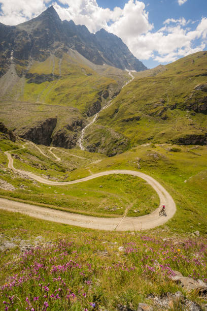 istock Mountain biker riding on a road in the Alps 1089258020