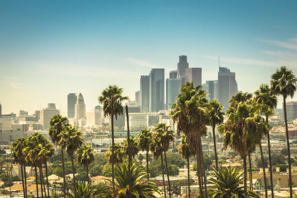 Downtown Los Angeles Aerial view of the business district in Downtown of Los Angeles in background from  Lincoln Heights neighborhood. downtown stock pictures, royalty-free photos & images