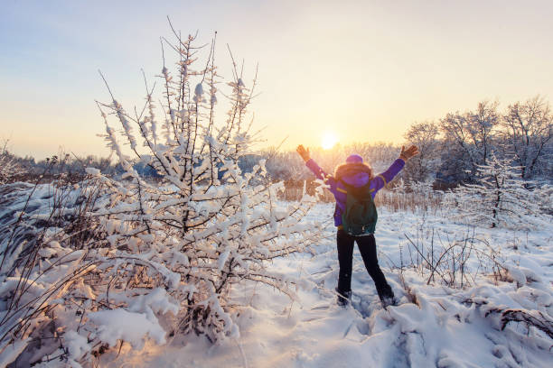 trekker lungo il sentiero per rifugiarsi nel parco naturale - snowshoe foto e immagini stock