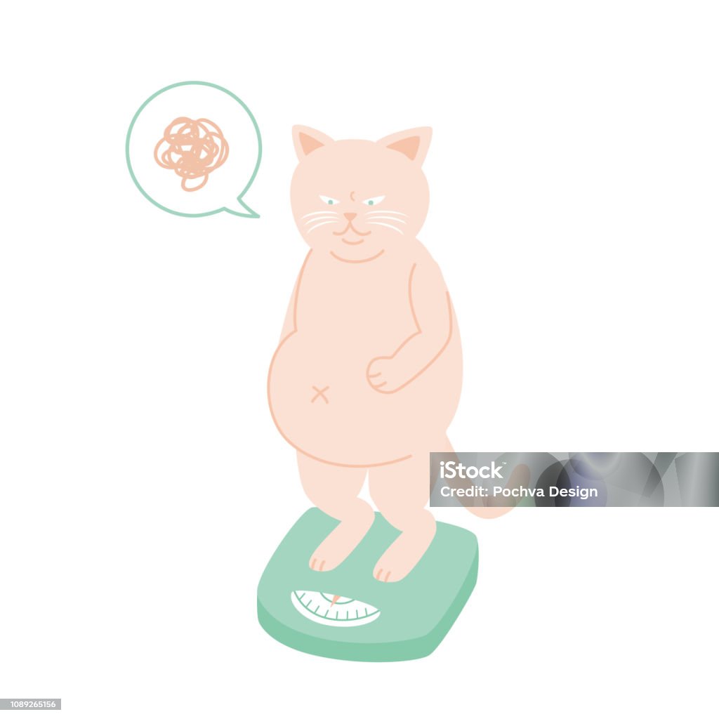 Ilustrasi Vektor Kucing Tubuh Gemuk Ilustrasi Stok - Unduh Gambar