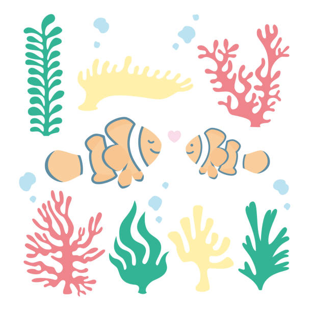 ilustrações de stock, clip art, desenhos animados e ícones de clown fish and coral vector illustration - filhote de animal