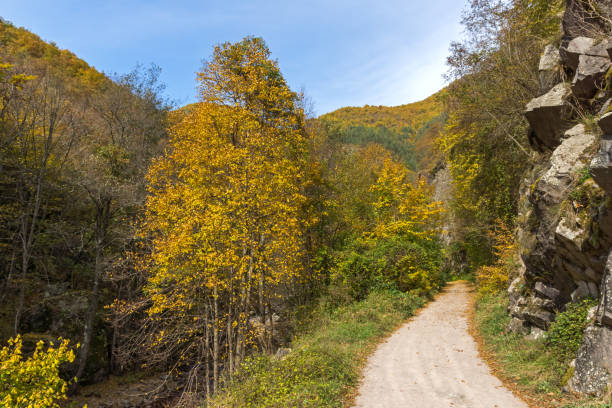 istock Autumn view of Ecotrail Struilitsa and Devin River gorge, Bulgaria 1089266836