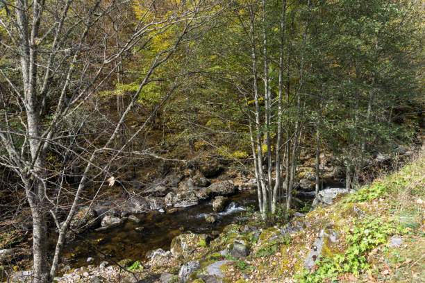 istock Autumn view of Ecotrail Struilitsa and Devin River gorge, Bulgaria 1089267264