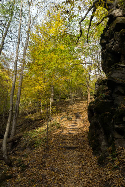 istock Autumn view of Ecotrail Struilitsa and Devin River gorge, Bulgaria 1089269828