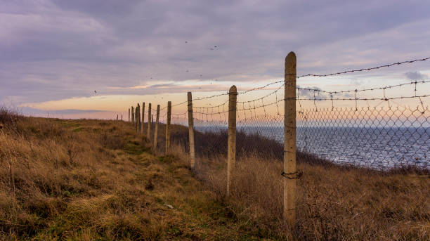 clôture de fil de fer barbelé sur la plage sur fond de lever de soleil magnifique. - winter wire barbed wire protection photos et images de collection