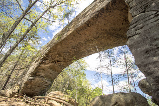 arco di pietra al natural bridge state park in kentucky - natural bridge state park foto e immagini stock