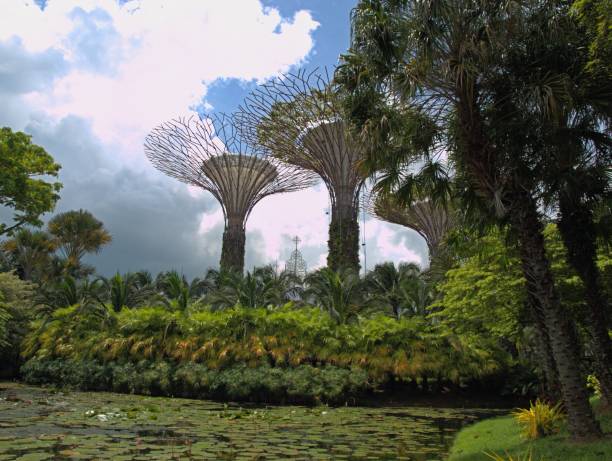istock Singapore Park with trees and exotic flowers 1089281302