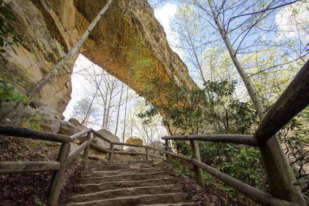 A well worn path follows the contour of the cliff wall next to it. This lush scene is taken in the Red River Gorge area of Kentucky.  The area is part of the Daniel Boone National Forest.
