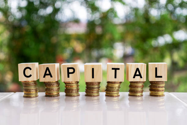 istock Wooden blocks with text CAPITAL 1089284390