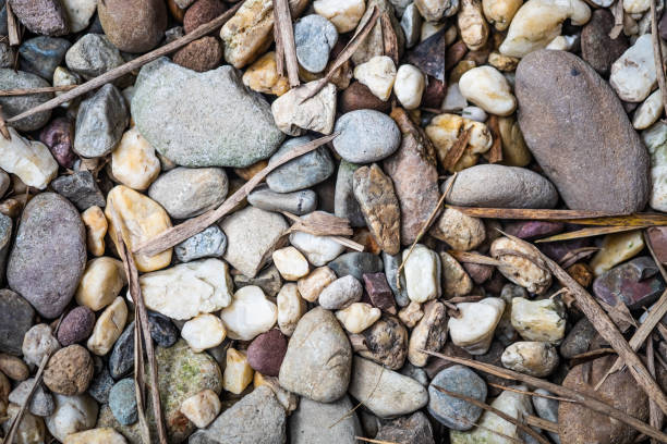 istock Gravel and leaves background. 1089306062
