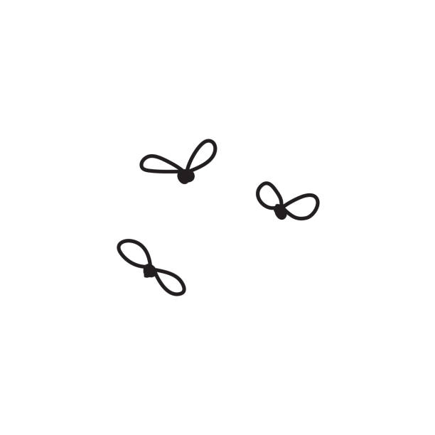 symbol-doodle zu fliegen - insekt stock-grafiken, -clipart, -cartoons und -symbole