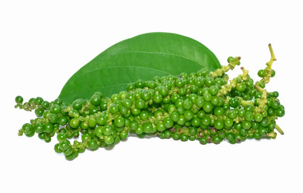 istock fresh green peppercorns isolated on white 1089310216