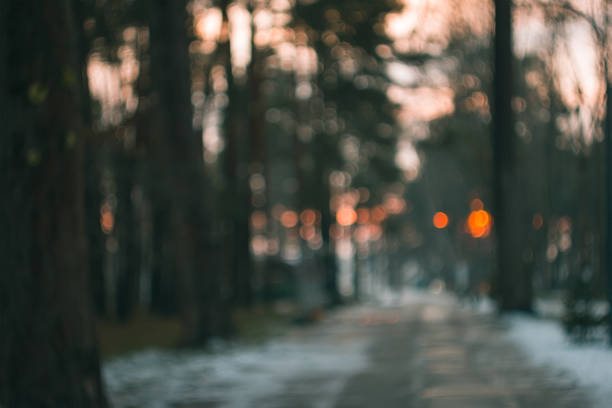 istock winter blurred sunset background in snowy forest. 1089310456