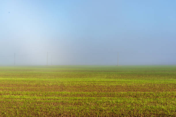 istock morning mist fog over meadows 1089311720