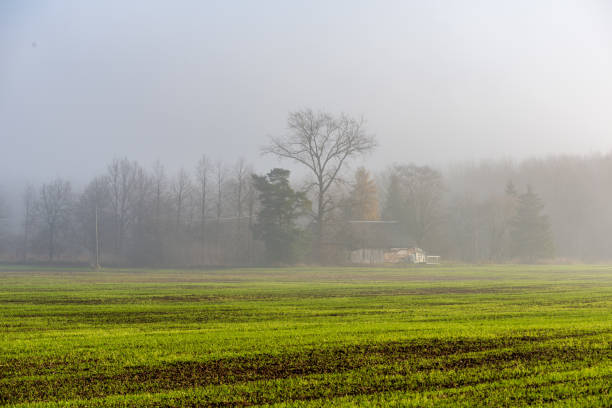 istock morning mist fog over meadows 1089311740
