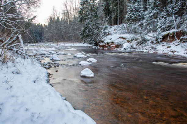 istock forest river in winter. Amata in Latvia 1089316860