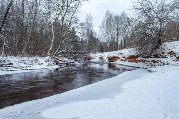 istock forest river in winter. Amata in Latvia 1089316870