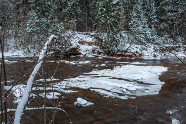 istock forest river in winter. Amata in Latvia 1089316878