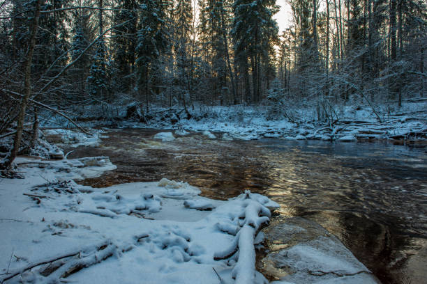 istock forest river in winter. Amata in Latvia 1089317028