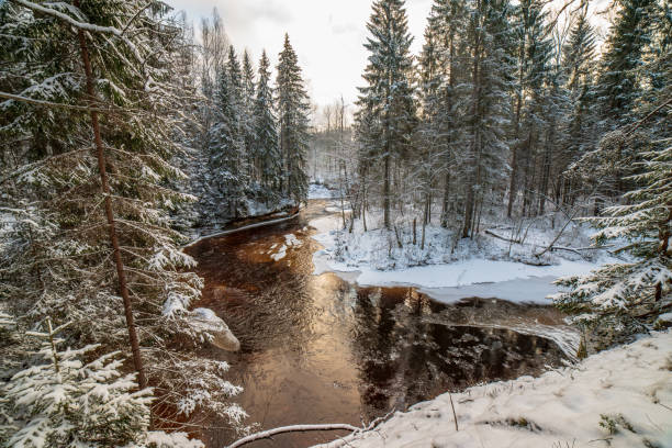 istock forest river in winter. Amata in Latvia 1089317050