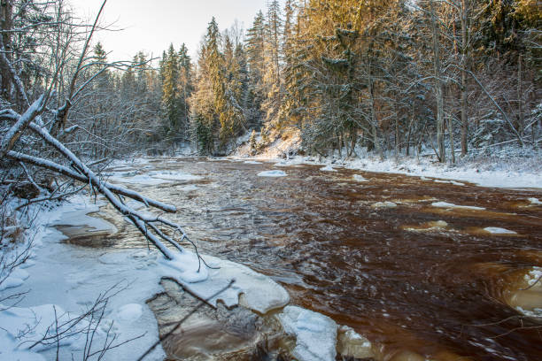 istock forest river in winter. Amata in Latvia 1089321042