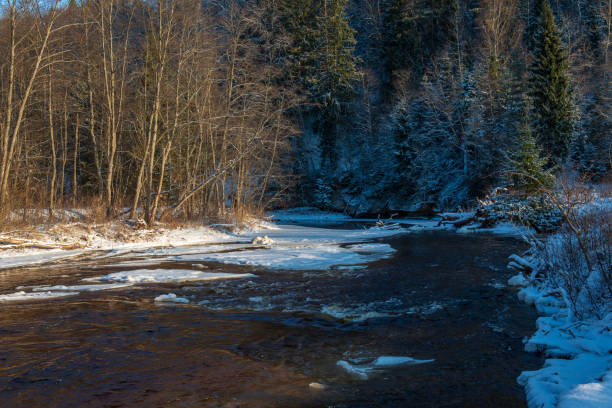 istock forest river in winter. Amata in Latvia 1089321076