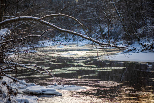 istock forest river in winter. Amata in Latvia 1089321140