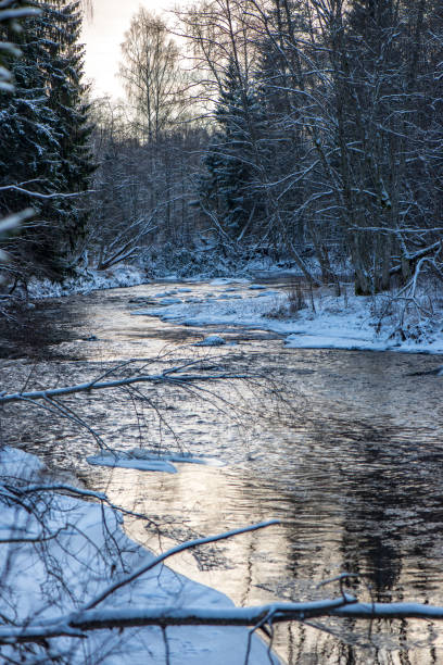 istock forest river in winter. Amata in Latvia 1089321172