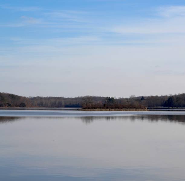 istock Reflections of the Trees 1089327050