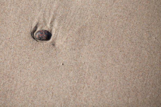 istock nostalgia - passing away, a stone lying on the beach washed by the sea. 1089327728
