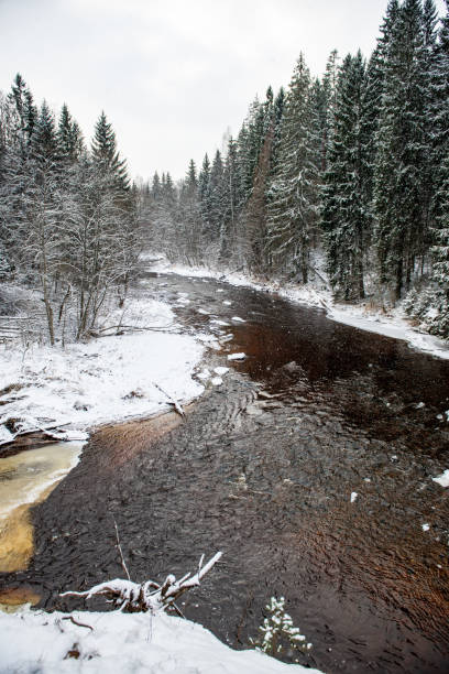 istock forest river in winter. Amata in Latvia 1089328834