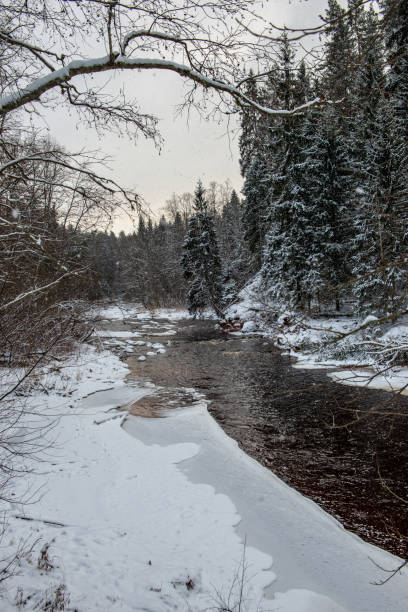 istock forest river in winter. Amata in Latvia 1089328840