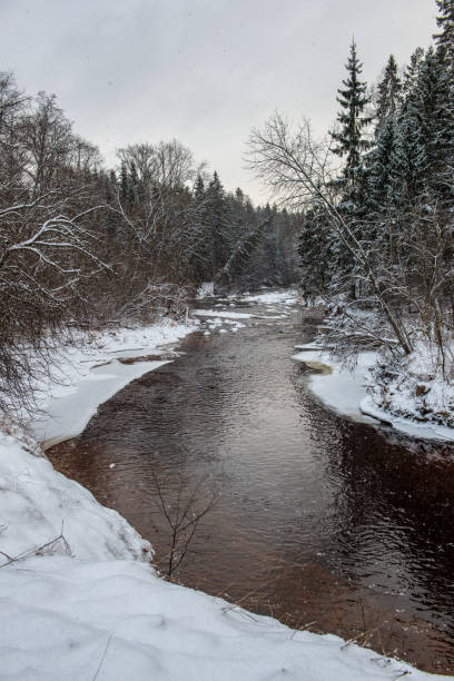 istock forest river in winter. Amata in Latvia 1089328866