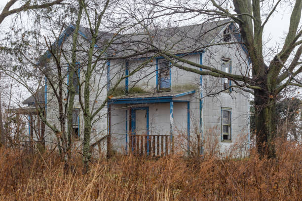 istock Abandoned house surrounded by barren trees and yellow grass 1089329814