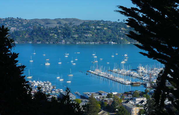 istock Fishing pier in San Francisco 1089329962
