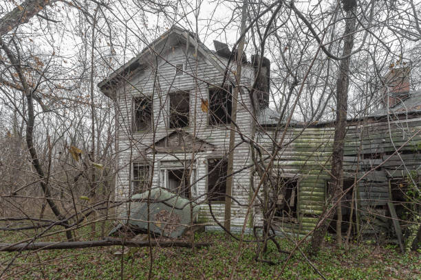 istock Abandoned two story house hiding behind barren overgrowth 1089330066