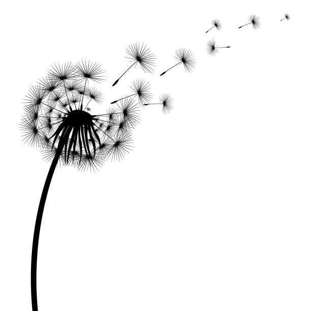 121 Seed Of Life Tattoo Stock Photos, Pictures & Royalty-Free Images - iStock 121 Seed Of Life Tattoo Stock Photos, Pictures & Royalty-Free Images - iStock