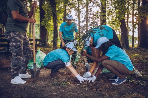 istock People planting a tree in park 1089337026