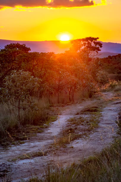 istock Small dirt road through the hills and native vegetation 1089340134