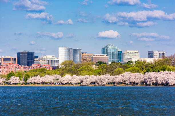 istock Washington, DC, USA at the Tidal Basin 1089340646