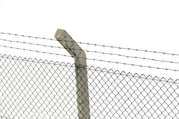 istock The wire mesh in a field of snow,barbed wire mesh, 1089345888
