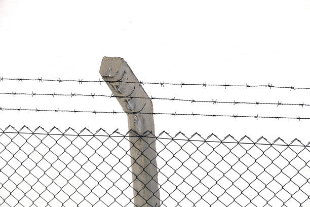 The wire mesh in a field of snow,barbed wire mesh,