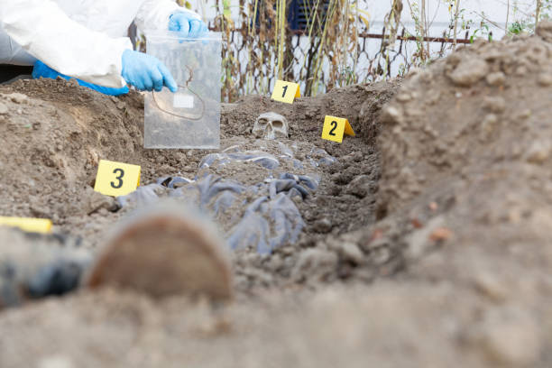 Crime scene investigation Exhumation: Forensic science specialist at work serial killings photos stock pictures, royalty-free photos & images